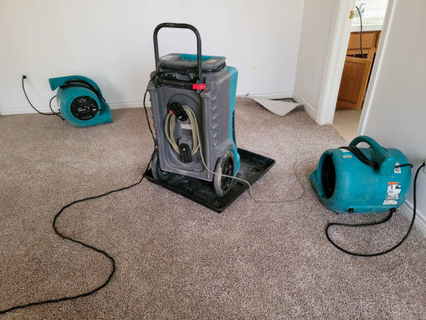 Best Residential water damage restoration  in Oconomowoc, WI