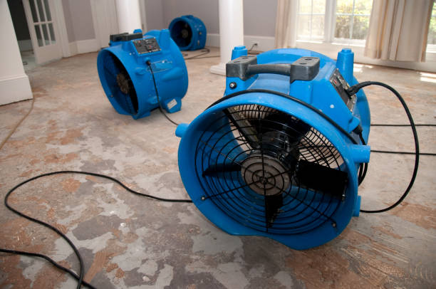 Best Ceiling water damage repair  in Oconomowoc, WI