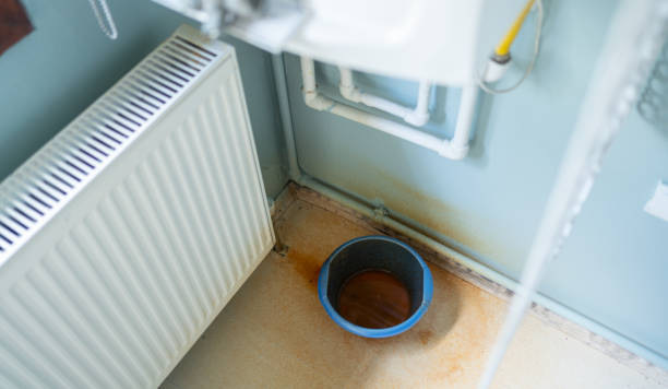 Best Flood damage cleanup  in Oconomowoc, WI