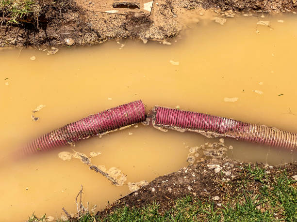 Best Water damage restoration near me  in Oconomowoc, WI